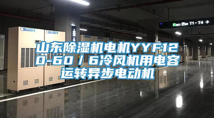 山東小黄片软件免费下载電機YYF120-60／6冷風機用電容運轉異步電動機