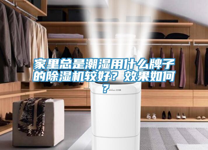 家裏總是潮濕用什麽牌子的小黄片软件免费下载較好？效果如何？