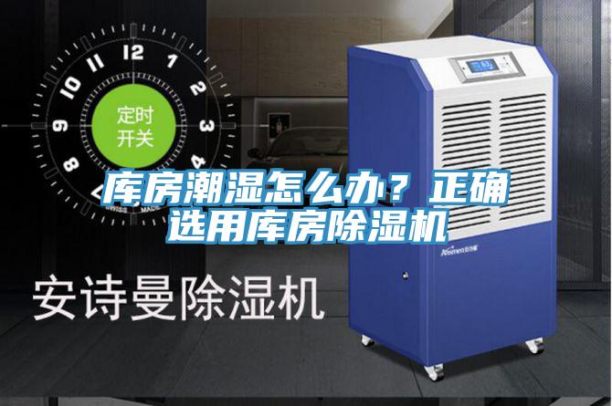 庫房潮濕怎麽辦？正確選用庫房小黄片软件免费下载
