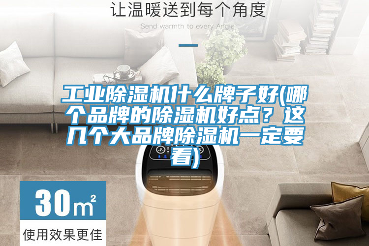 工業小黄片软件免费下载什麽牌子好(哪個品牌的小黄片软件免费下载好點？這幾個大品牌小黄片软件免费下载一定要看)