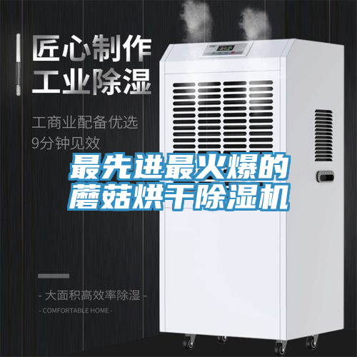 最先進最火爆的蘑菇烘幹小黄片软件免费下载