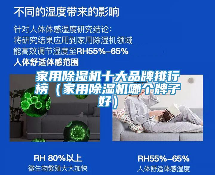 家用小黄片软件免费下载十大品牌排行榜（家用小黄片软件免费下载哪個牌子好）