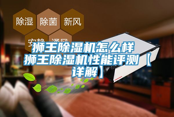 獅王小黄片软件免费下载怎麽樣 獅王小黄片软件免费下载性能評測【詳解】