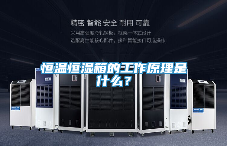 恒溫恒濕箱的工作原理是什麽？