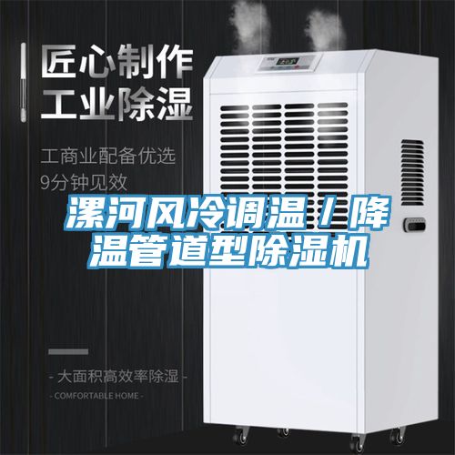 漯河風冷調溫／降溫管道型小黄片软件免费下载