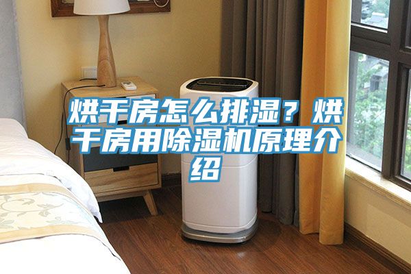 烘幹房怎麽排濕？烘幹房用小黄片软件免费下载原理介紹