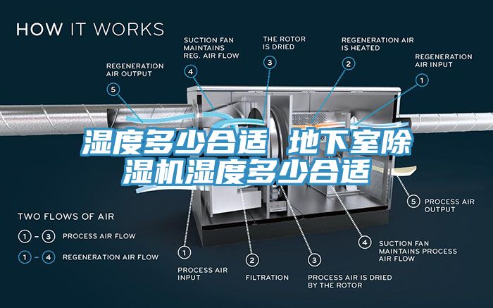 濕度多少合適 地下室小黄片软件免费下载濕度多少合適
