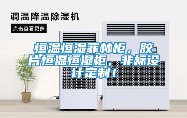 恒溫恒濕菲林櫃，膠片恒溫恒濕櫃，非標設計定製！