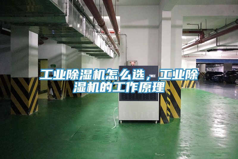 工業小黄片软件免费下载怎麽選，工業小黄片软件免费下载的工作原理