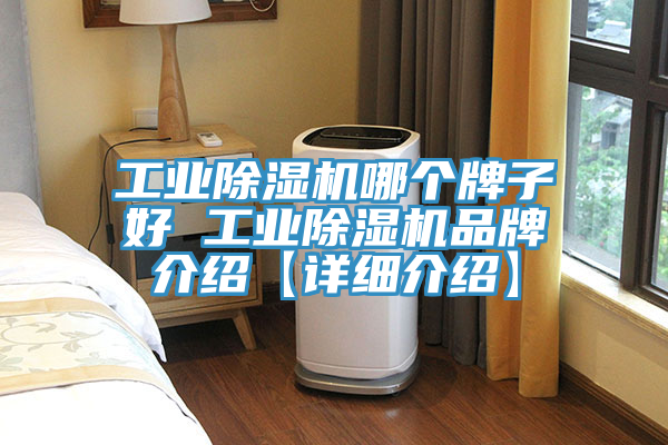 工業小黄片软件免费下载哪個牌子好 工業小黄片软件免费下载品牌介紹【詳細介紹】