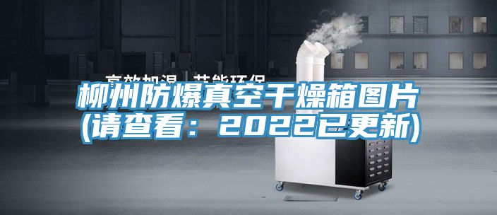 柳州防爆真空幹燥箱圖片(請查看：2022已更新)