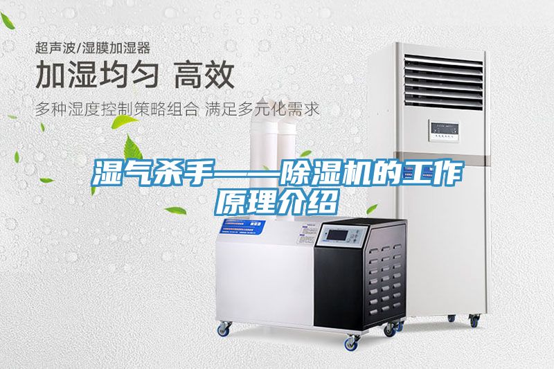 濕氣殺手——小黄片软件免费下载的工作原理介紹