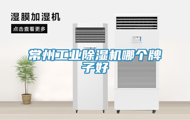 常州工業小黄片软件免费下载哪個牌子好