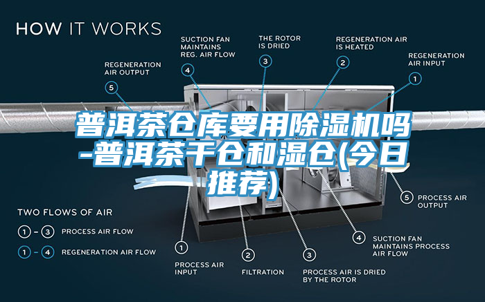 普洱茶倉庫要用小黄片软件免费下载嗎-普洱茶幹倉和濕倉(今日推薦)