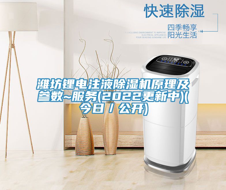 濰坊鋰電注液小黄片软件免费下载原理及參數~服務(2022更新中)(今日／公開)