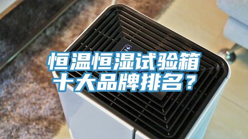 恒溫恒濕試驗箱十大品牌排名？