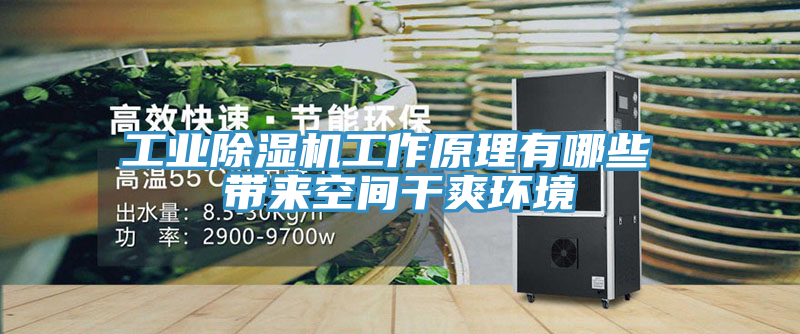工業小黄片软件免费下载工作原理有哪些 帶來空間幹爽環境