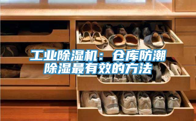 工業小黄片软件免费下载：倉庫防潮除濕最有效的方法