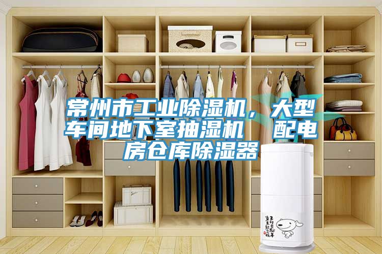 常州市工業小黄片软件免费下载，大型車間地下室抽濕機  配電房倉庫除濕器