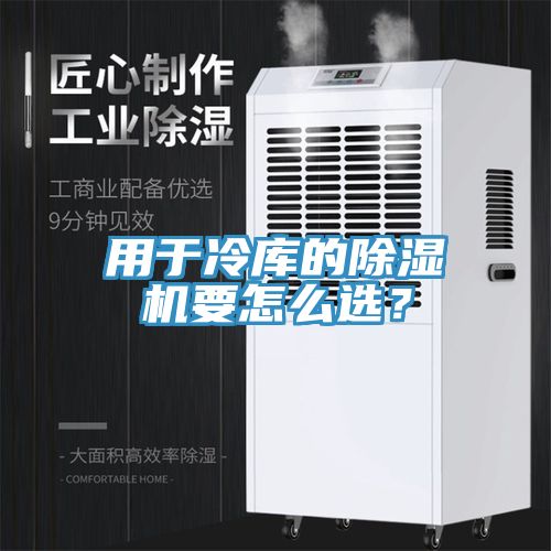 用於冷庫的小黄片软件免费下载要怎麽選？