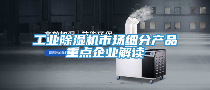 工業小黄片软件免费下载市場細分產品重點企業解讀