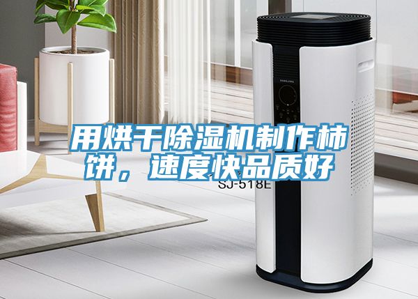 用烘幹小黄片软件免费下载製作柿餅，速度快品質好