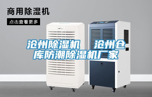滄州小黄片软件免费下载  滄州倉庫防潮小黄片软件免费下载廠家