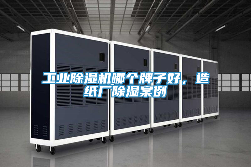 工業小黄片软件免费下载哪個牌子好，造紙廠除濕案例