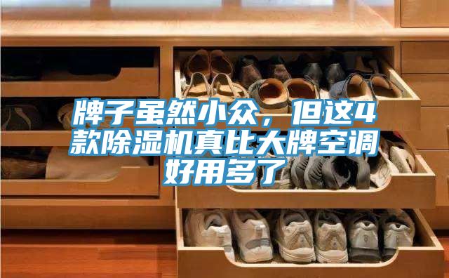 牌子雖然小眾，但這4款小黄片软件免费下载真比大牌空調好用多了