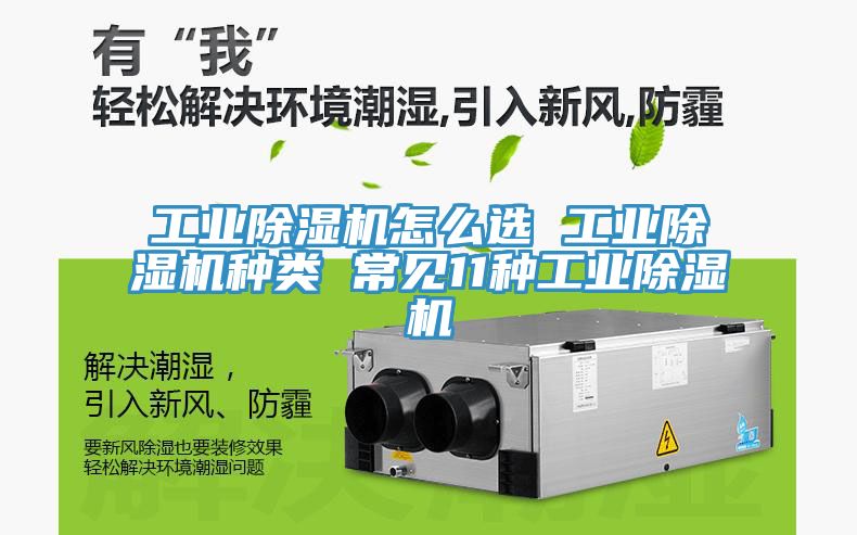 工業小黄片软件免费下载怎麽選 工業小黄片软件免费下载種類 常見11種工業小黄片软件免费下载