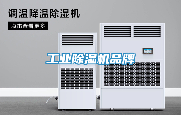 工業小黄片软件免费下载品牌