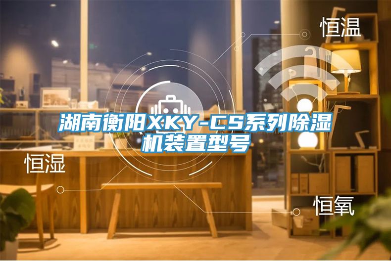 湖南衡陽XKY-CS係列小黄片软件免费下载裝置型號