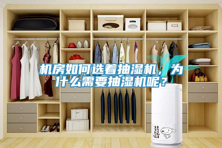 機房如何選著抽濕機，為什麽需要抽濕機呢？