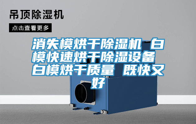 消失模烘幹小黄片软件免费下载 白模快速烘幹除濕設備 白模烘幹質量 既快又好