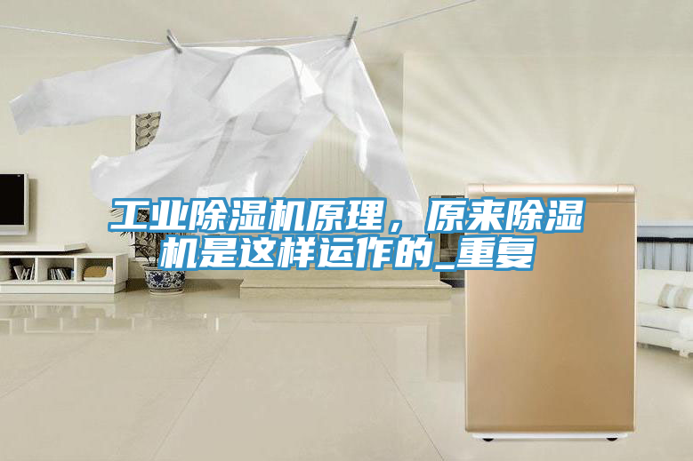 工業小黄片软件免费下载原理，原來小黄片软件免费下载是這樣運作的_重複