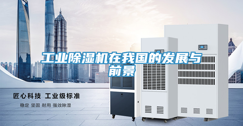 工業小黄片软件免费下载在我國的發展與前景