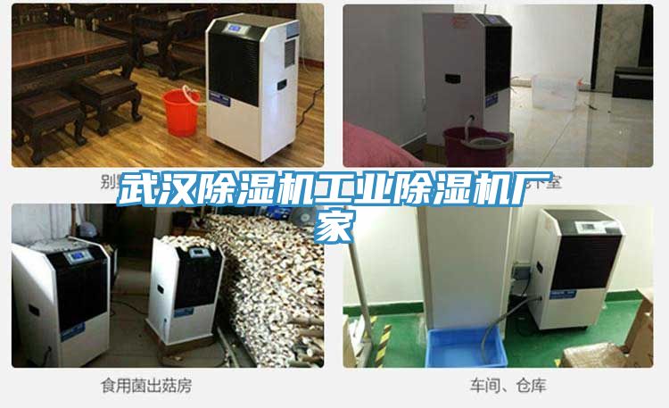 武漢小黄片软件免费下载工業小黄片软件免费下载廠家