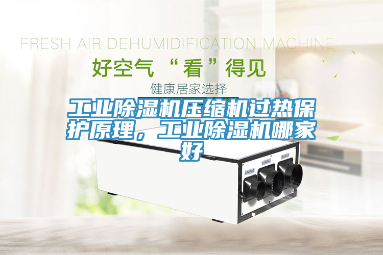 工業小黄片软件免费下载壓縮機過熱保護原理，工業小黄片软件免费下载哪家好