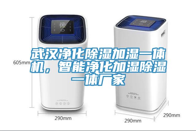 武漢淨化除濕加濕一體機，智能淨化加濕除濕一體廠家