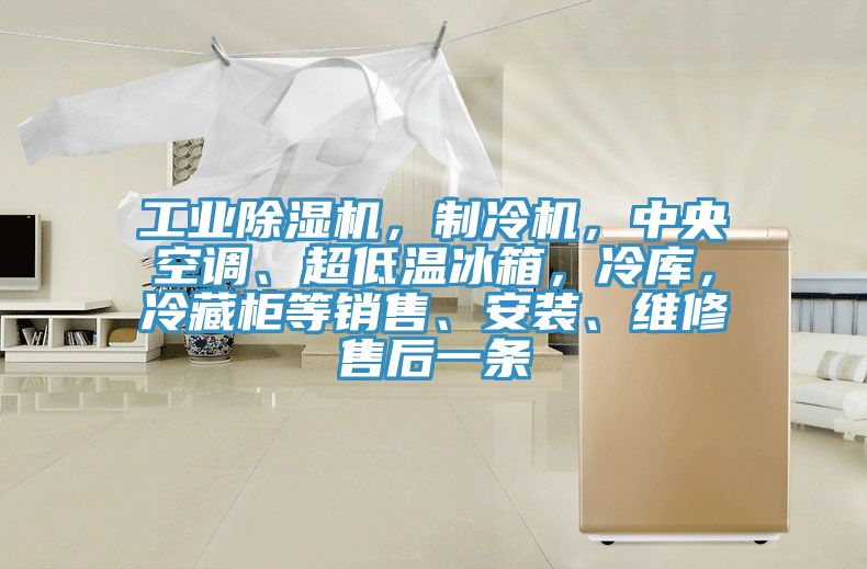 工業小黄片软件免费下载，製冷機，中央空調、超低溫冰箱，冷庫，冷藏櫃等銷售、安裝、維修售後一條
