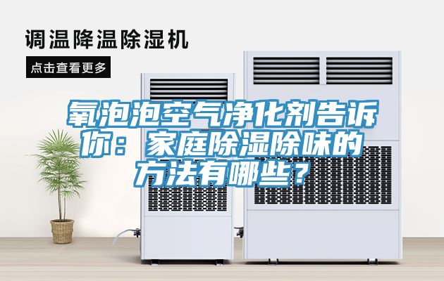 氧泡泡空氣淨化劑告訴你：家庭除濕除味的方法有哪些？