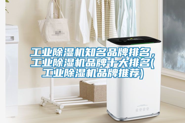 工業小黄片软件免费下载知名品牌排名，工業小黄片软件免费下载品牌十大排名(工業小黄片软件免费下载品牌推薦)