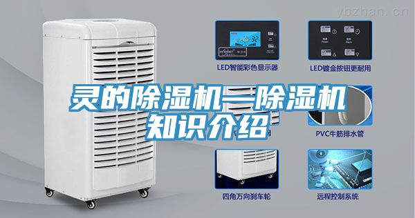 靈的小黄片软件免费下载—小黄片软件免费下载知識介紹