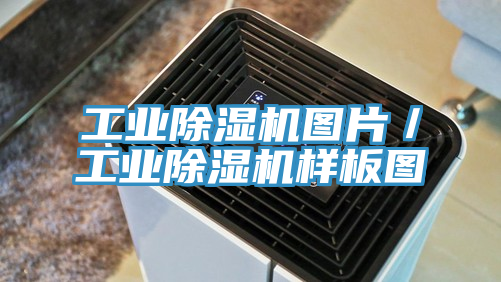 工業小黄片软件免费下载圖片／工業小黄片软件免费下载樣板圖