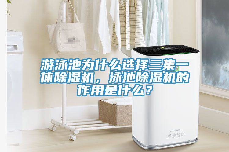 遊泳池為什麽選擇三集一體小黄片软件免费下载，泳池小黄片软件免费下载的作用是什麽？