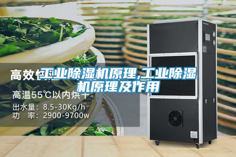 工業小黄片软件免费下载原理,工業小黄片软件免费下载原理及作用