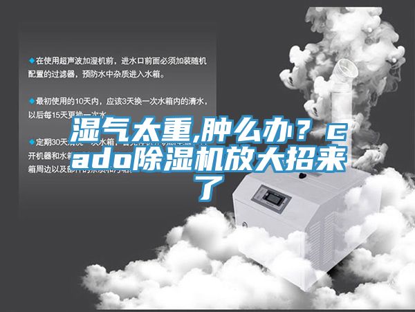 濕氣太重,腫麽辦？cado小黄片软件免费下载放大招來了
