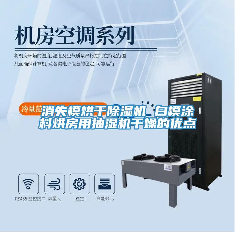 消失模烘幹小黄片软件免费下载 白模塗料烘房用抽濕機幹燥的優點
