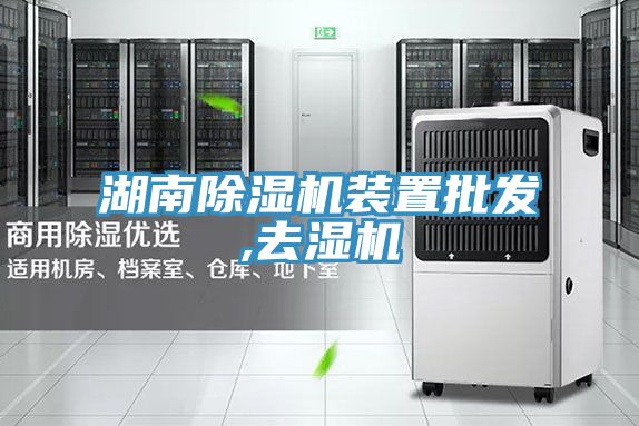 湖南小黄片软件免费下载裝置批發,去濕機