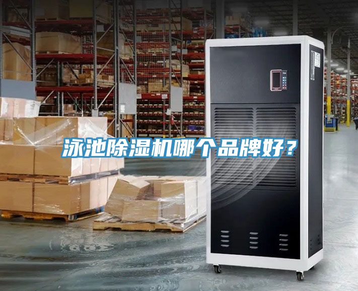 泳池小黄片软件免费下载哪個品牌好？